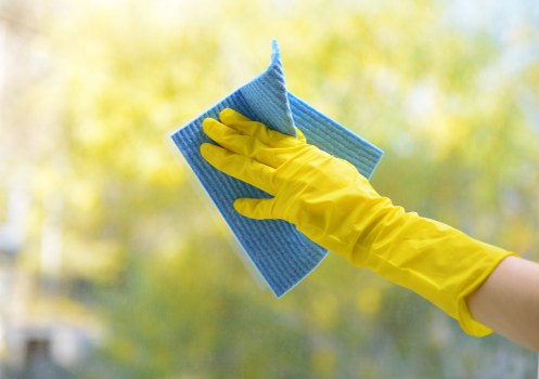 Carpet cleaning appointment and service preparation