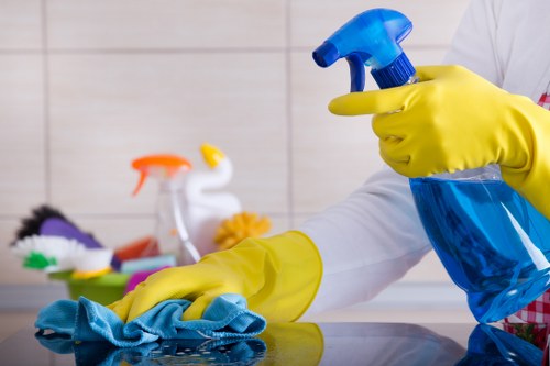 Professional carpet cleaning quotation and scheduling