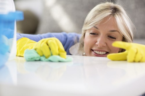 Cleaning estimate and pricing breakdown for carpet care services