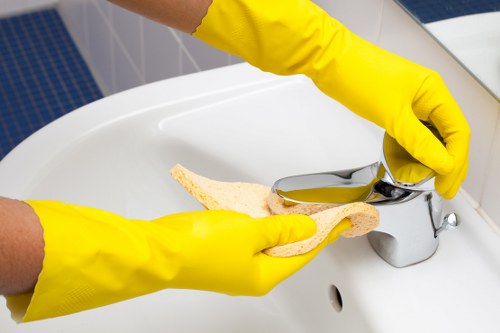 Risk assessment and preparation before professional carpet cleaning